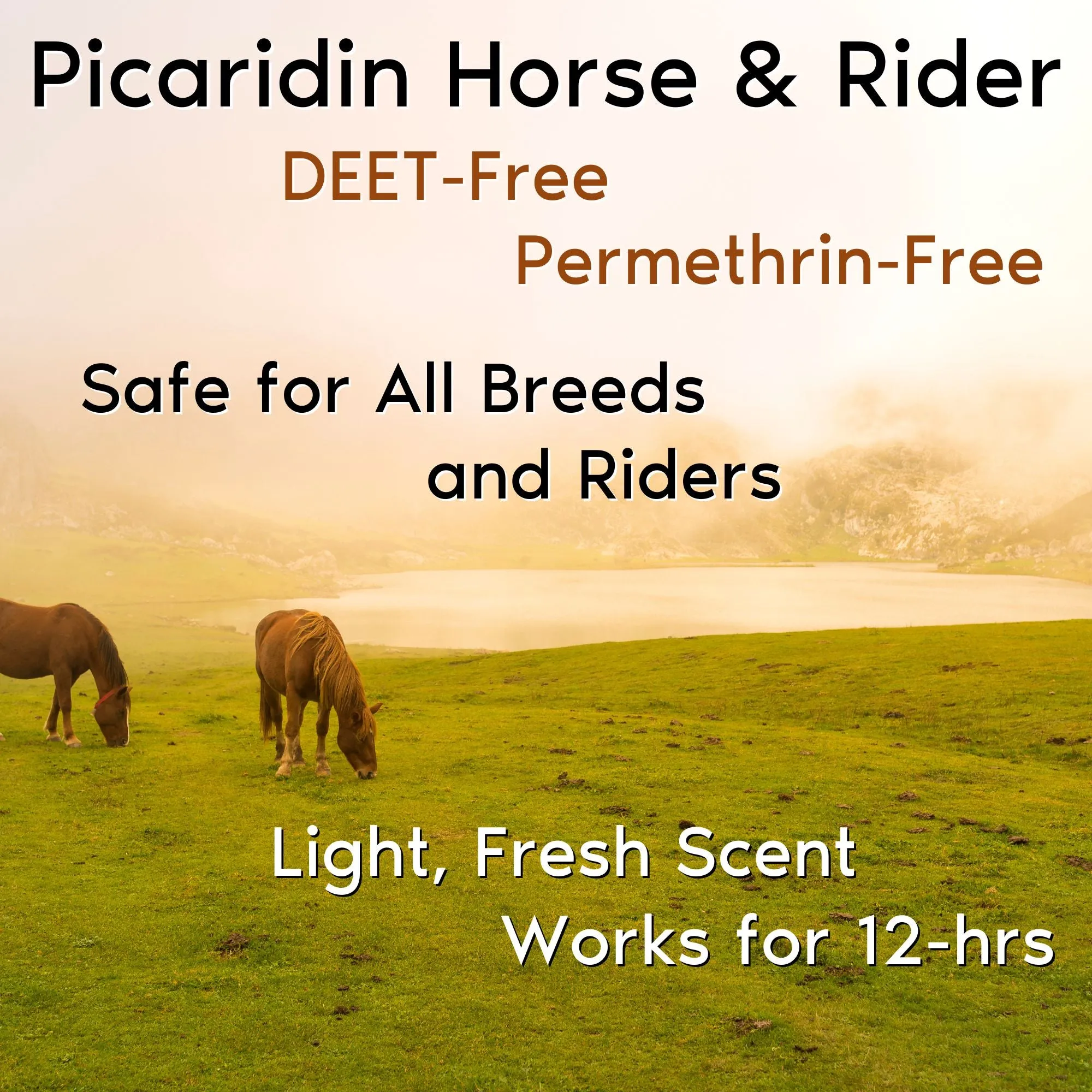 Horse & Rider Equine Fly/Insect Repellent Refill