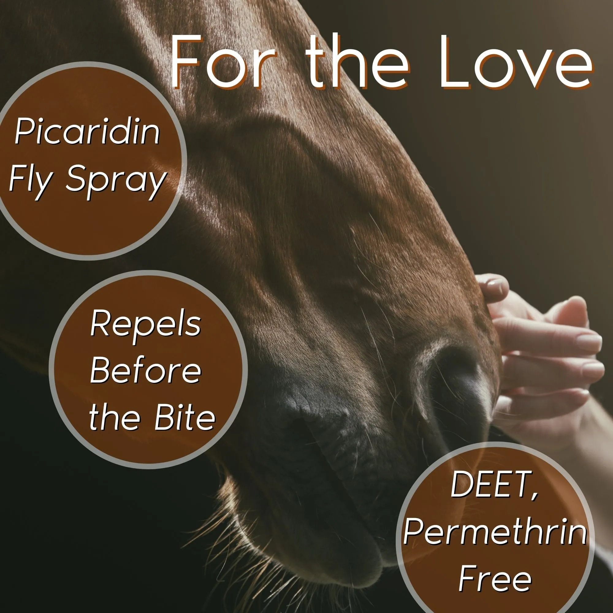 Horse & Rider Fly/Insect Repellent Mistosol   Refill Combo