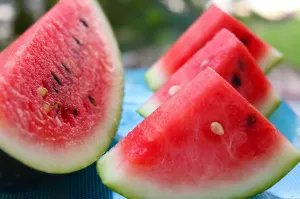  Watermelon